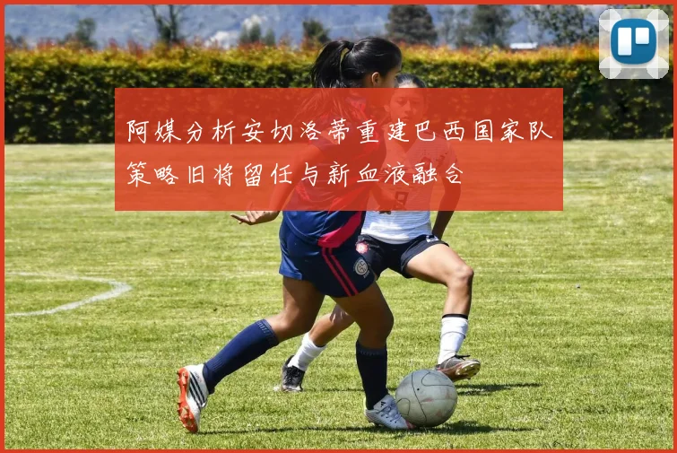 阿媒分析安切洛蒂重建巴西国家队策略旧将留任与新血液融合